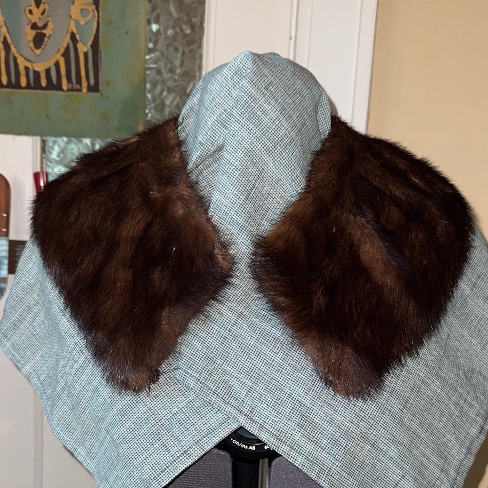 Vintage Beaver Fur Collar 1940’s 50’s 60’s